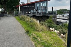 Riverside Lounge